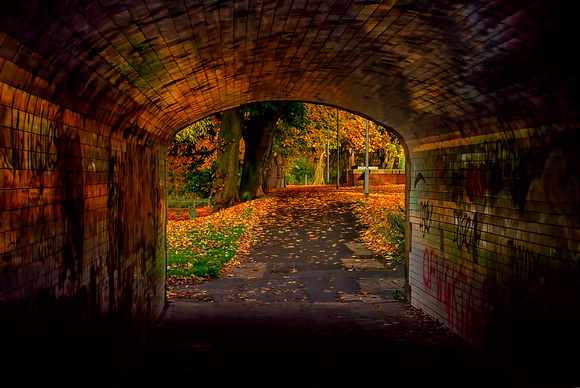 Autumn In The Underpass