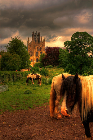 Ponies By The Cathedral