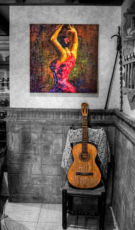 Flamenco Guitar