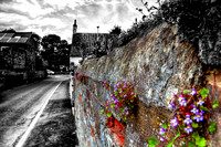 Wall Flowers