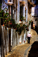 Flowers In The Street